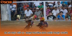 da ga truc tiep c2 nhan thuong nho chien thuat chuan 300x150 1